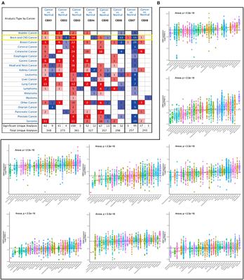 Chromobox 7/8 serve as independent indicators for glioblastoma via promoting proliferation and invasion of glioma cells